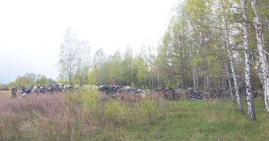 Мрія Садового: львівське сміття доїхало до Чорнобиля фото