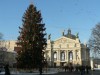 У Львові встановлюють різдвяну ялинку