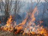 За випалювання сухої трави на Львівщині складено 301 адмінпротокол
