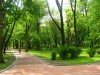 Львів`янам перед святами нагадують про правила поведінки у парках