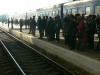 Літній графік Львівської залізниці: не скасовано жодного поїзда