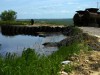 Угорські гудрони забруднюють водойми Львівщини