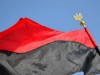 Дикість луганських сепаратистів: скаута мало не вбили через червоно-чорний прапор