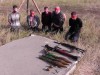 Затримано терористичну групу, що готувала диверсію проти українських військовиків