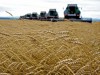 Аграрний потенціал України допоможе здобути державі енергетичну незалежність