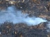 На Львівщині вже кілька днів горить майже 6 га торфу