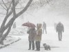 На Львівщині – сильні пориви вітру, сніг переходитиме в дощ