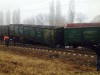 На Львівській залізниці з колії зійшло десять вагонів з залізною рудою