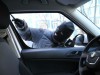 На Львівщині молодик пограбував автомобіль