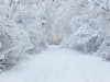 На Львівщині прогнозують хуртовини та снігові замети