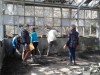 Небайдужі львів’яни відновлюють занедбану оранжерею у Стрийському парку