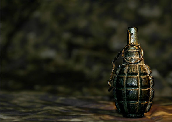 boevaja-granata-f1