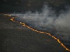 Пожежу в Чорнобильскій зоні погасили