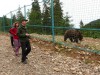 Позували тварини у Реабілітаційному центрі бурого ведмедя