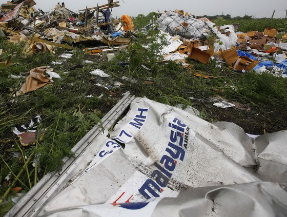 Wreckage from the nose section of a Malaysian Airlines Boeing 777 plane which was downed on Thursday is seen near the village of Rozsypne
