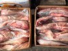 На Львівщині чоловік перевозив «бусіком» майже 5 тонн неякісного м’яса
