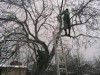 У Пустомитівському районі чоловік помер на дереві