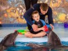 Ультразвук, який видають дельфіни, здатен впливати на мозок людини, – дельфінотерапевт