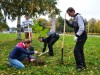 На Львівщині активно насаджують дерева