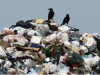 На Львівщині ліквідували понад 400 стихійних сміттєзвалищ