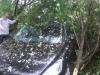 Через дощ у Львові легковик з’їхав з дороги в кущі