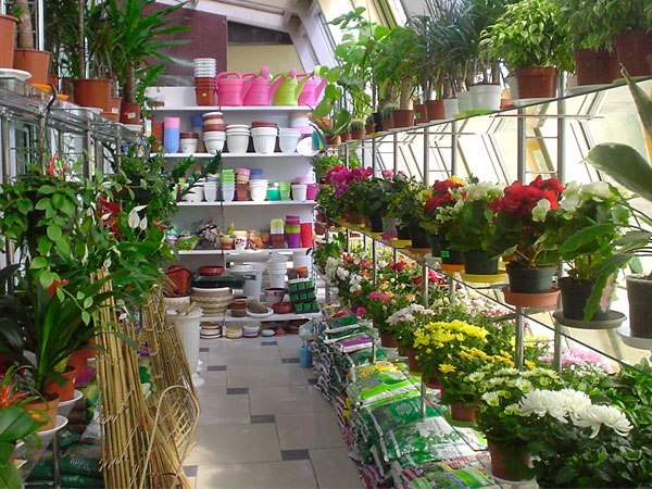 квітковий магазин