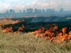 Через спалювання сухої трави на Львівщині до відповідальності притягнули 85 осіб