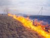 Через спалювання трави на Львівщині за тиждень оштрафували 9 порушників