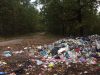Львівське сміття знайшли у волинському лісі