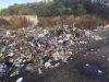 Львівське сміття, яке не впустили у Вінницю, вивантажили у Житомирській області
