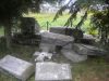 Польська інтелігенція засудила нищення вандалами могил українських вояк