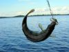 В Україні заборонено ловити рибу на зимувальних ямах