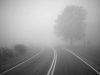 Водіїв попереджають: завтра на Львівщині – сильний туман