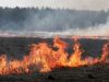 Вчора рятувальники Львівської області гасили 20 пожеж сухостою
