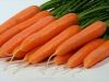 На Львівщині найнижча в Україні ціна на моркву