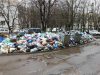 Сміття не вивезено з 258 сміттєвих майданчиків Львова