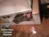 У Львові квартирний злодій заховався від патрульних у дивані