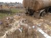 У Рава-Руській спиртзавод злив відходи у навколишнє середовище