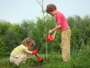 Львів’ян кличуть посадити своє дерево разом з дітками з інтернату
