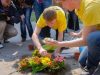 Завтра львів’ян запрошують взяти участь у висадці квітів на площі Митній