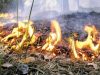 На вихідних у Львові очікується висока пожежна небезпека