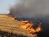 Львівщина просить уряд підняти штрафи за спалювання сухої трави