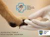 Львів’ян соціальним роликом закликають допомагати безпритульним тваринам