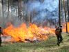 На Львівщині – надзвичайна пожежна небезпека. Мешканців просять дотримуватись правил безпеки