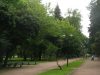 У Львові відбудуться публічні консультації щодо Левандівського парку