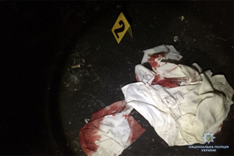 Вбили хлопця, поранили дитину та жінку: до нападу на табір ромів у Львові причетні 11 підлітків фото 1