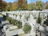 На львівських кладовищах впорядковують могили Січових стрільців