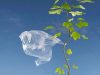 Майже кожен другий львів’янин вважає необхідною заборону пластикових пакетів, – дослідження