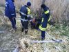 На Львівщині рятувальники врятували корову