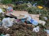 На Львівщині ліквідували більше 200 стихійних сміттєзвалищ
